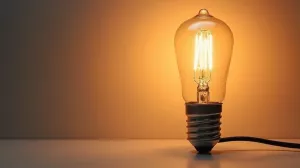 żarówka halogenowa 230v